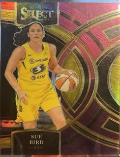 Sue Bird