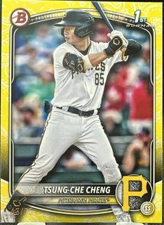 Tsung-Che Cheng