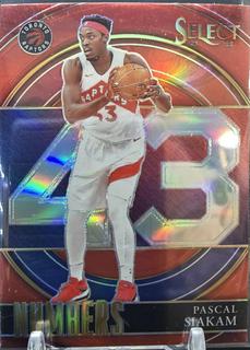 Pascal Siakam