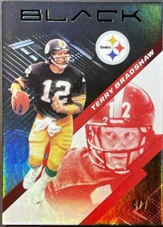 Terry Bradshaw