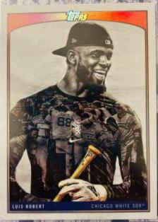 Luis Robert