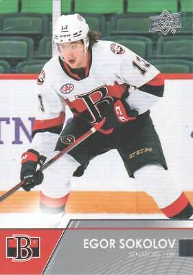 Egor Sokolov #28 2021 Upper Deck Ahl Hockey