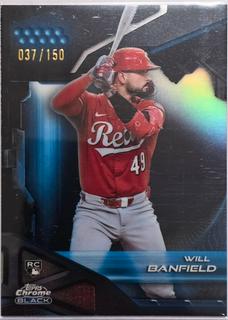 Will Banfield