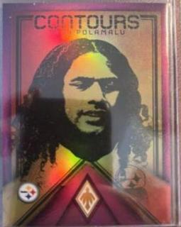 Troy Polamalu