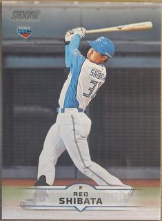 Reo Shibata
