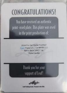 Dylan Laube