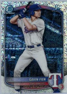 Gavin Fien