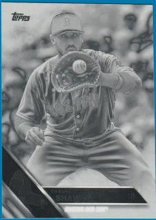 Travis Shaw