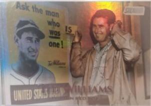 Ted Williams