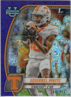 Squirrel White