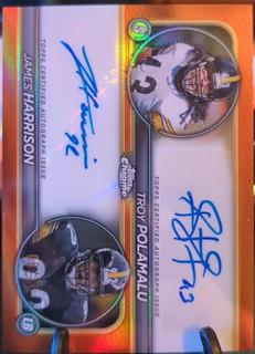 Troy Polamalu / James Harrison