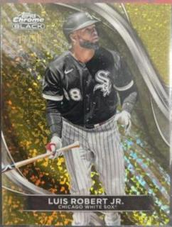 Luis Robert Jr.