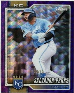Salvador Perez