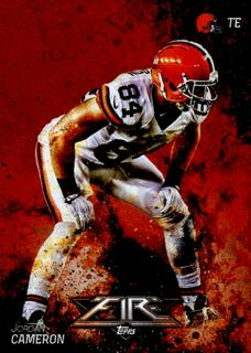 Jordan Cameron