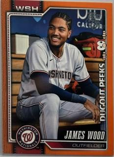 James Wood