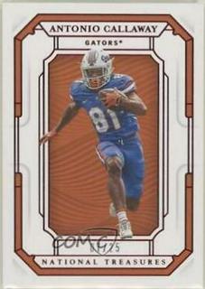 Antonio Callaway