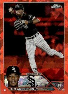 Tim Anderson
