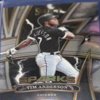 Tim Anderson
