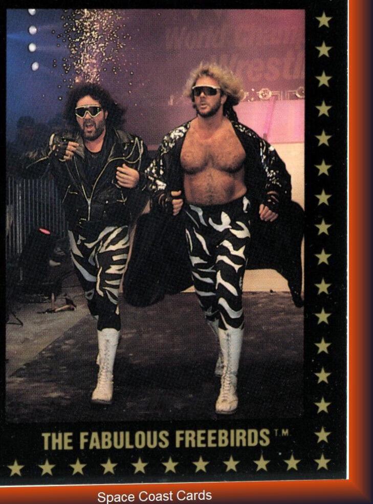 The Fabulous Freebirds #5 Wrestling Cards 1991 Championship Marketing WCW