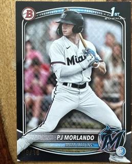 PJ Morlando