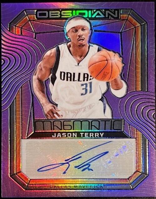 Jason Terry [Purple Flood Electric Etch] #MS-TER