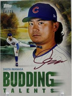 Shota Imanaga
