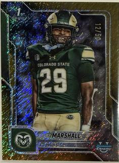 Justin Marshall