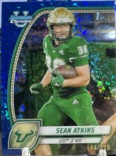 Sean Atkins