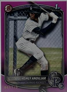 Ashly Andujar