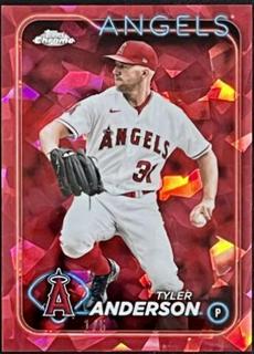 Tyler Anderson
