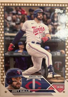 Joey Gallo