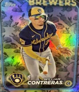 William Contreras