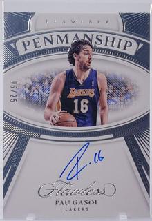 Pau Gasol