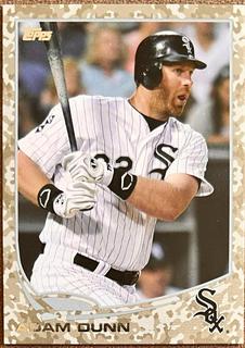 Adam Dunn