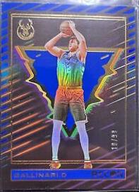 Danilo Gallinari