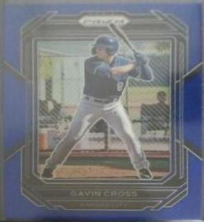 Gavin Cross