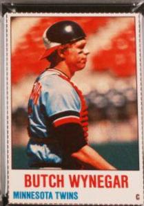 Butch Wynegar