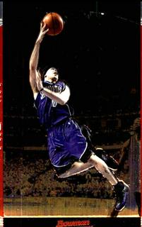 Mike Bibby Chrome