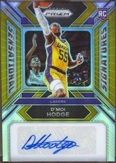 D’Moi Hodge
