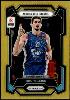 Tibor Pleiss