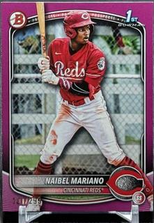 Naibel Mariano