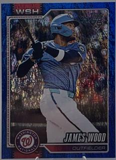James Wood