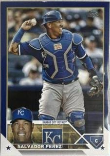 Salvador Perez