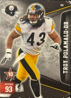 Troy Polamalu