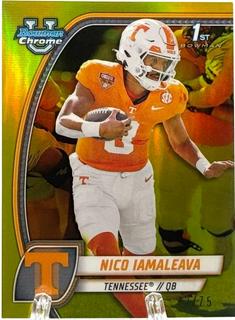 Nico Iamaleava