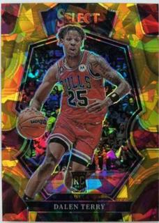 Dalen Terry