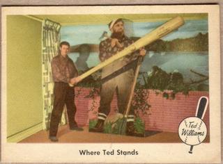 Where Ted Stands