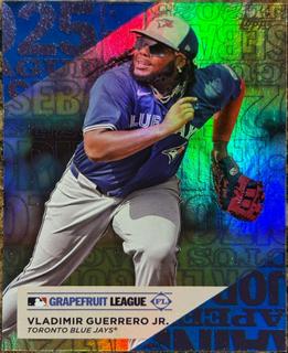 Vladimir Guerrero Jr.