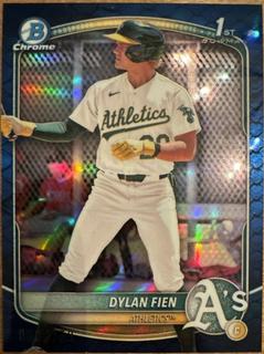 Dylan Fien