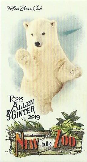 Polar Bear Cub #NTTZ-17 Baseball Cards 2019 Topps Allen & Ginter New to the Zoo Mini